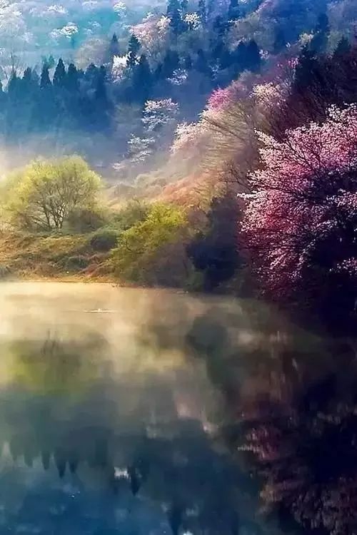 春之花园 | 愚工园艺的生机艺术-59