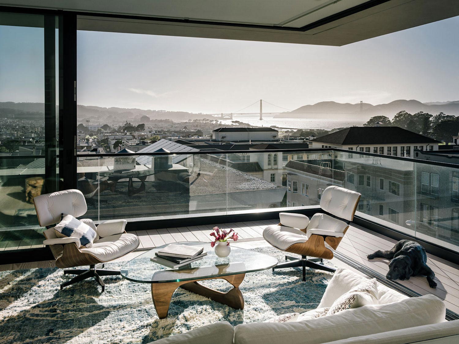 旧金山现代蝴蝶住宅-8