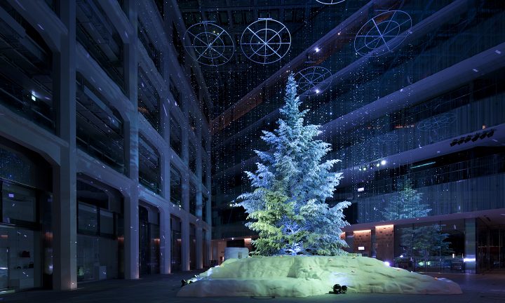 WHITE KITTE  Suppose Design-3