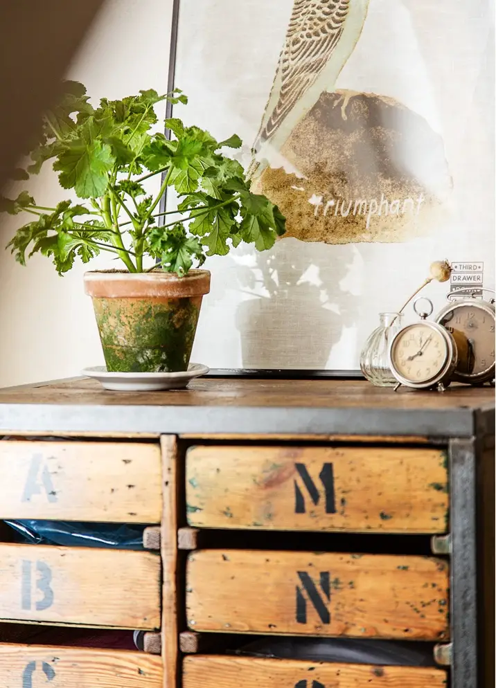 魔法夜之魅力空间-14