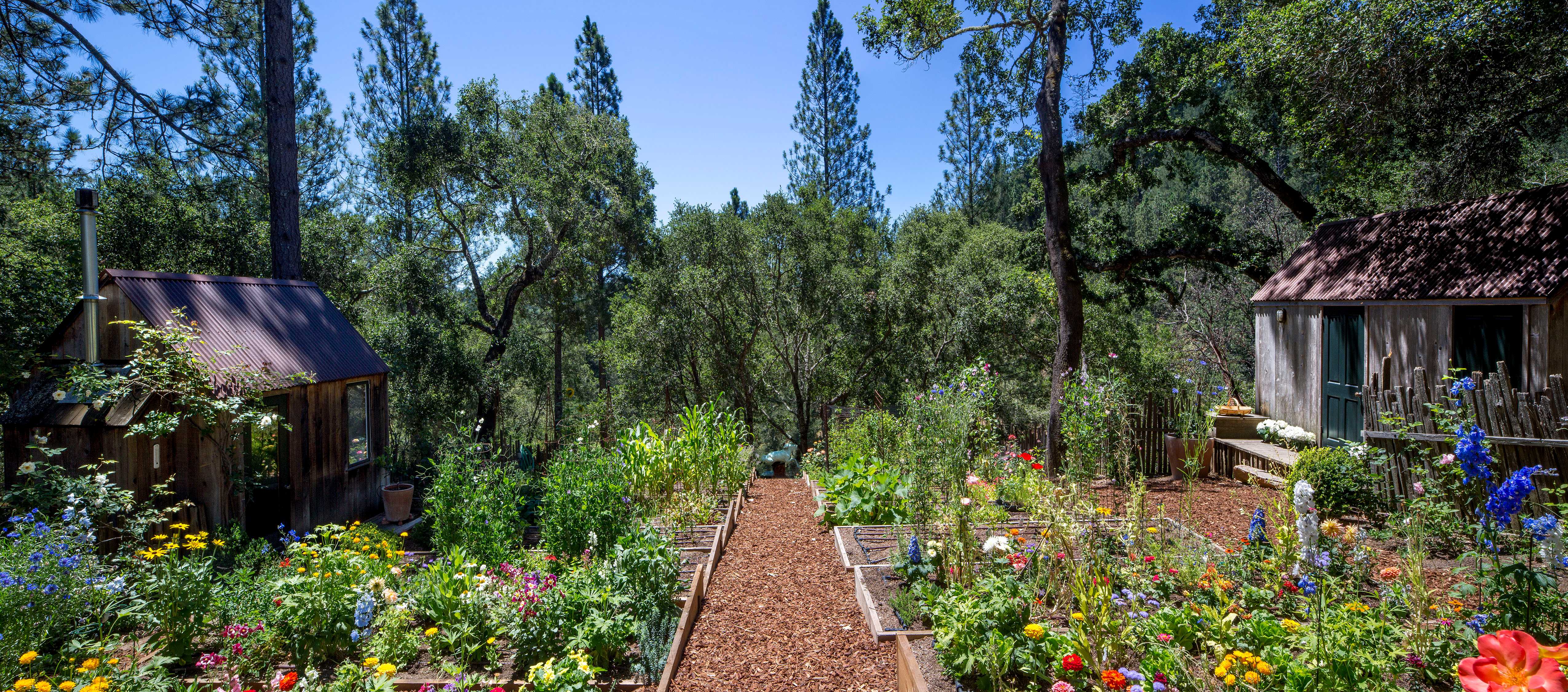 索诺马县谷仓小屋，户外生活室内避难所-14