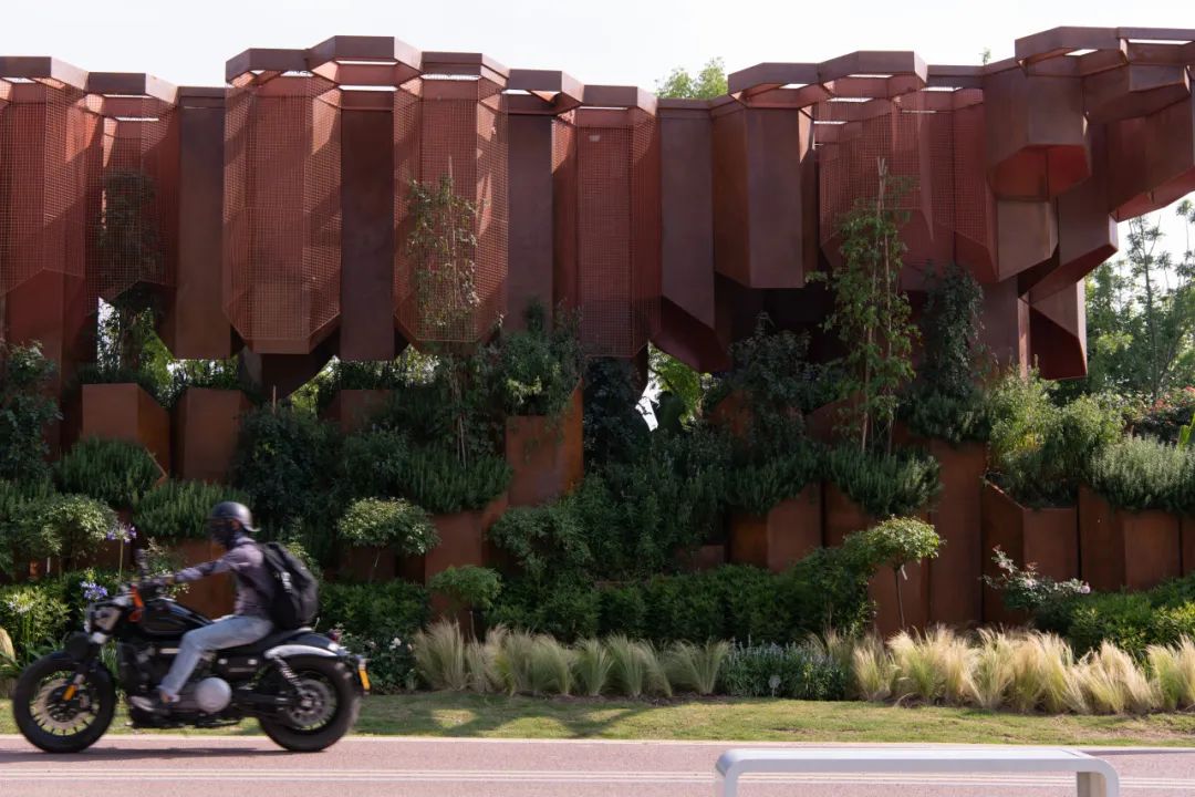 2023德阳市花月季展德阳园 | 齿轮花园-35