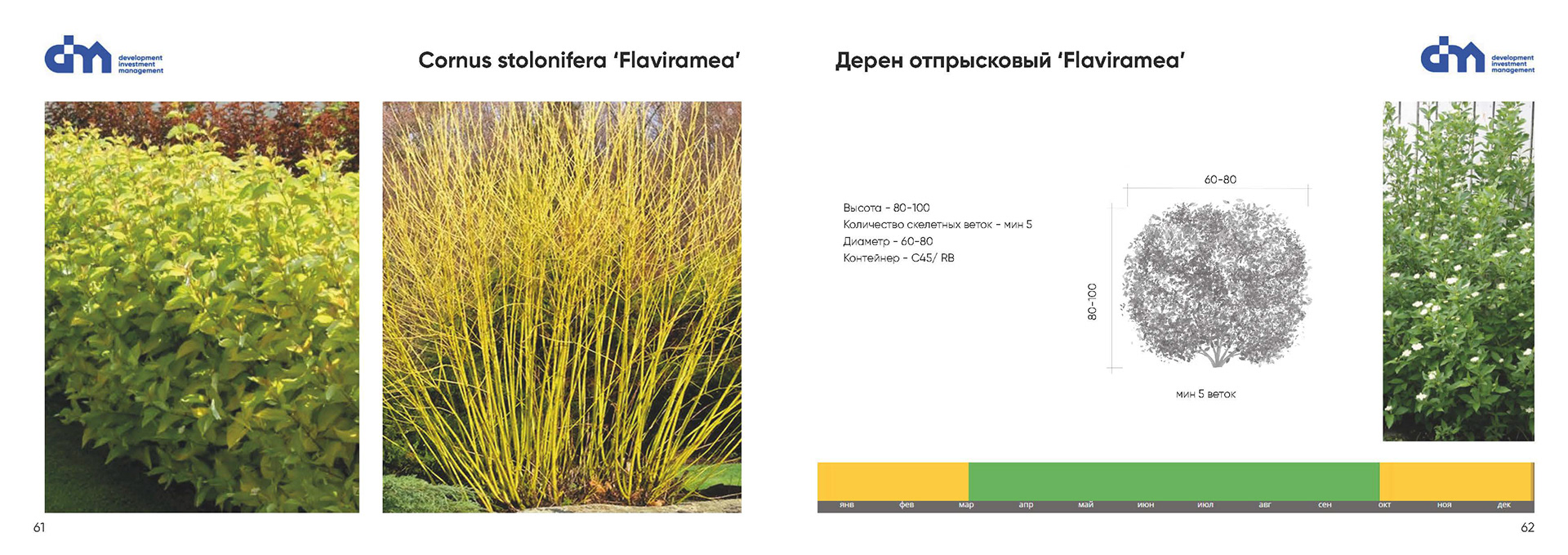 Greening standard for DIM Development-26