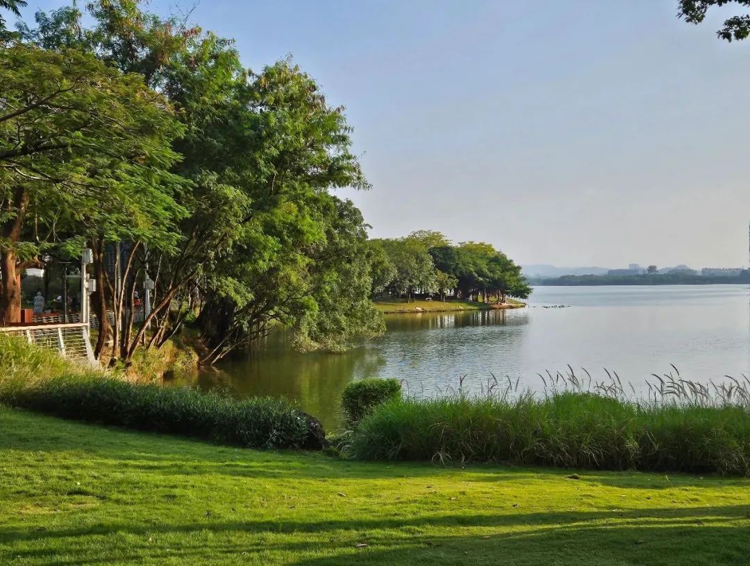 东莞松山湖通湖礼廊二期丨中国东莞丨Instinct Fabrication 本色营造-80