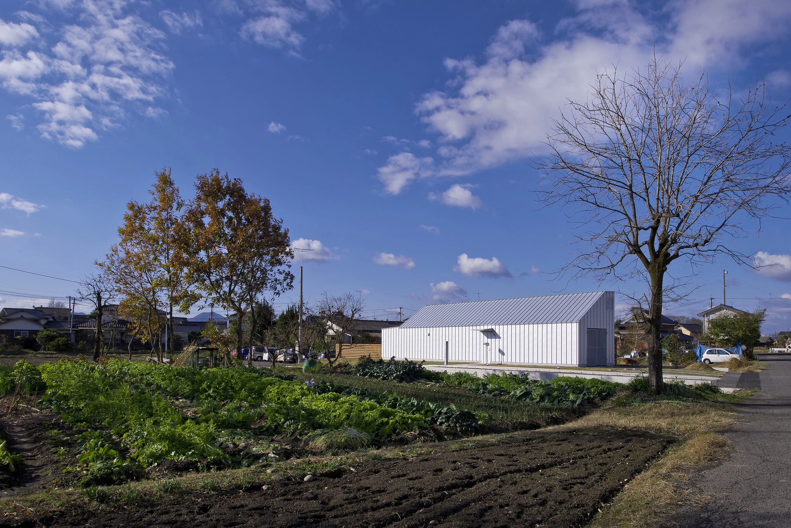 日本稻田中的“狗沙龙”住宅-13