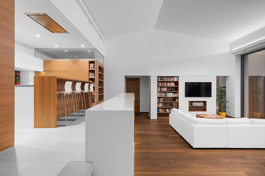 匈牙利现代独户别墅 | Répás Ferenc-1