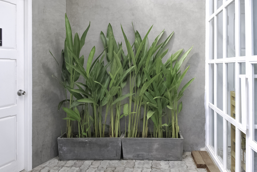 Dough & CO · 链接自然与人的社区空间-23