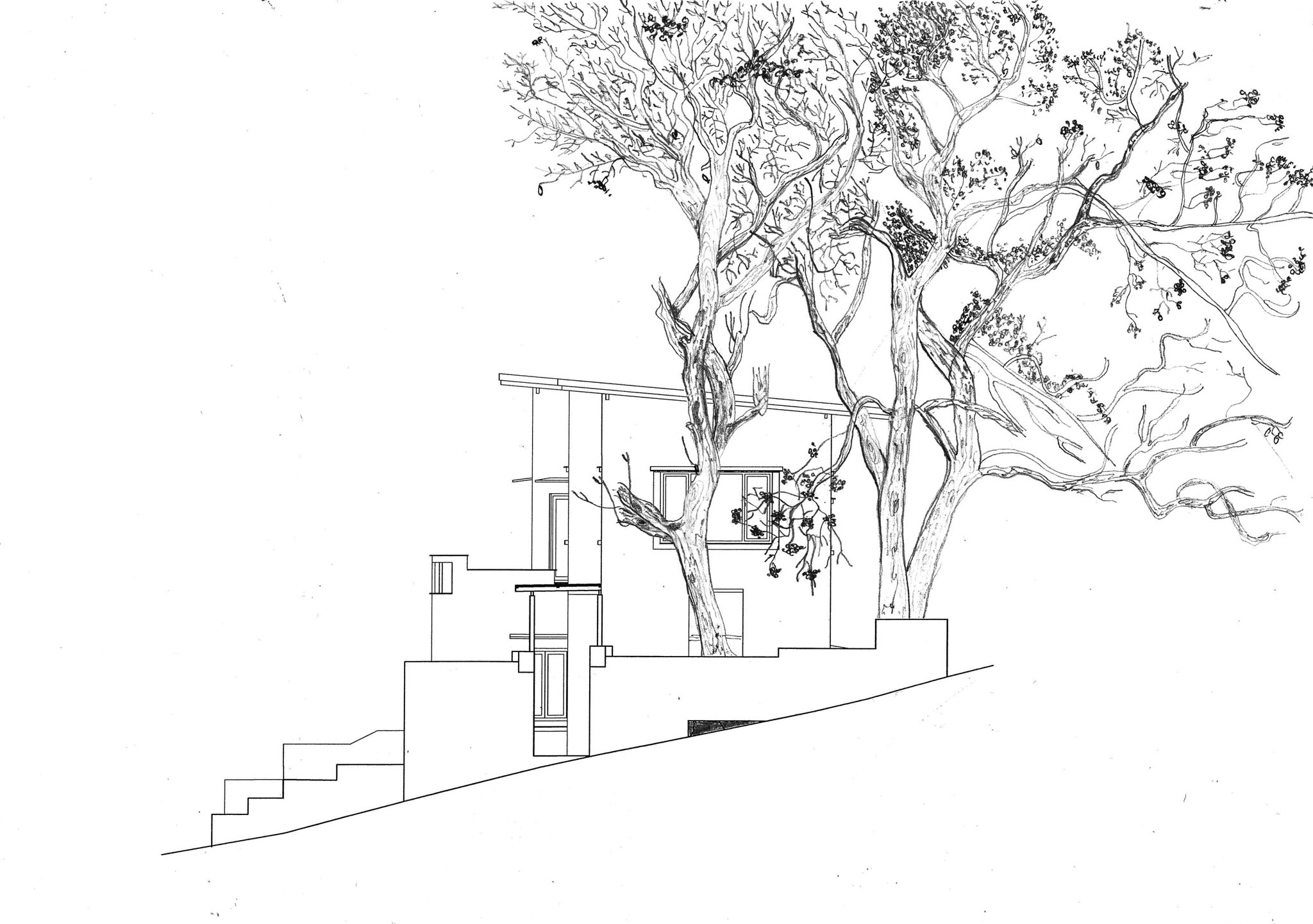 Salvador Do Mundo的住宅设计丨印度丨Field Atelier Architects-4