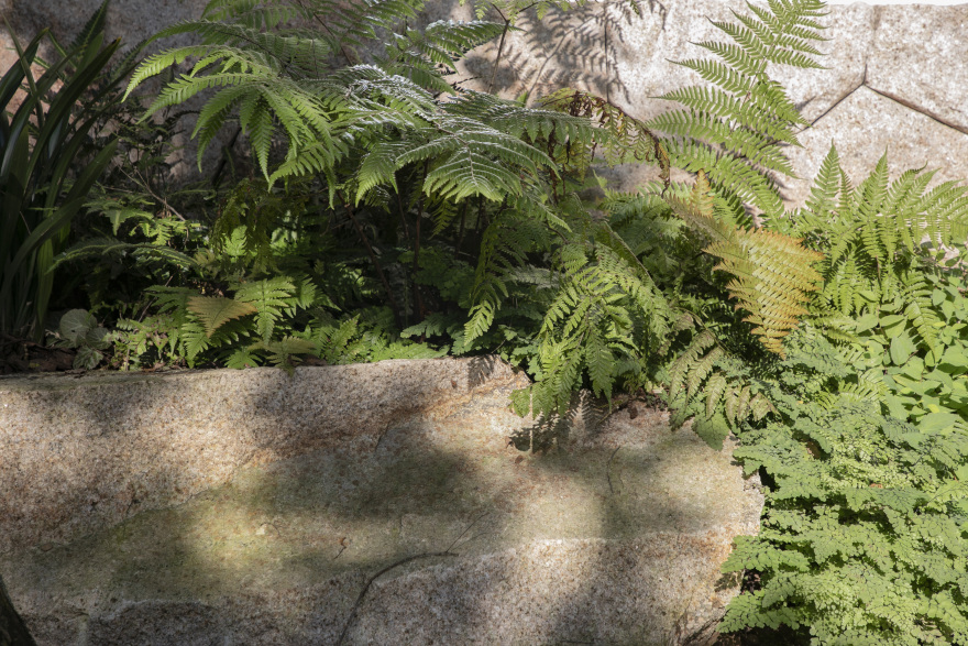 南岑别墅庭院设计建造丨中国重庆丨MUSO木守景观-43