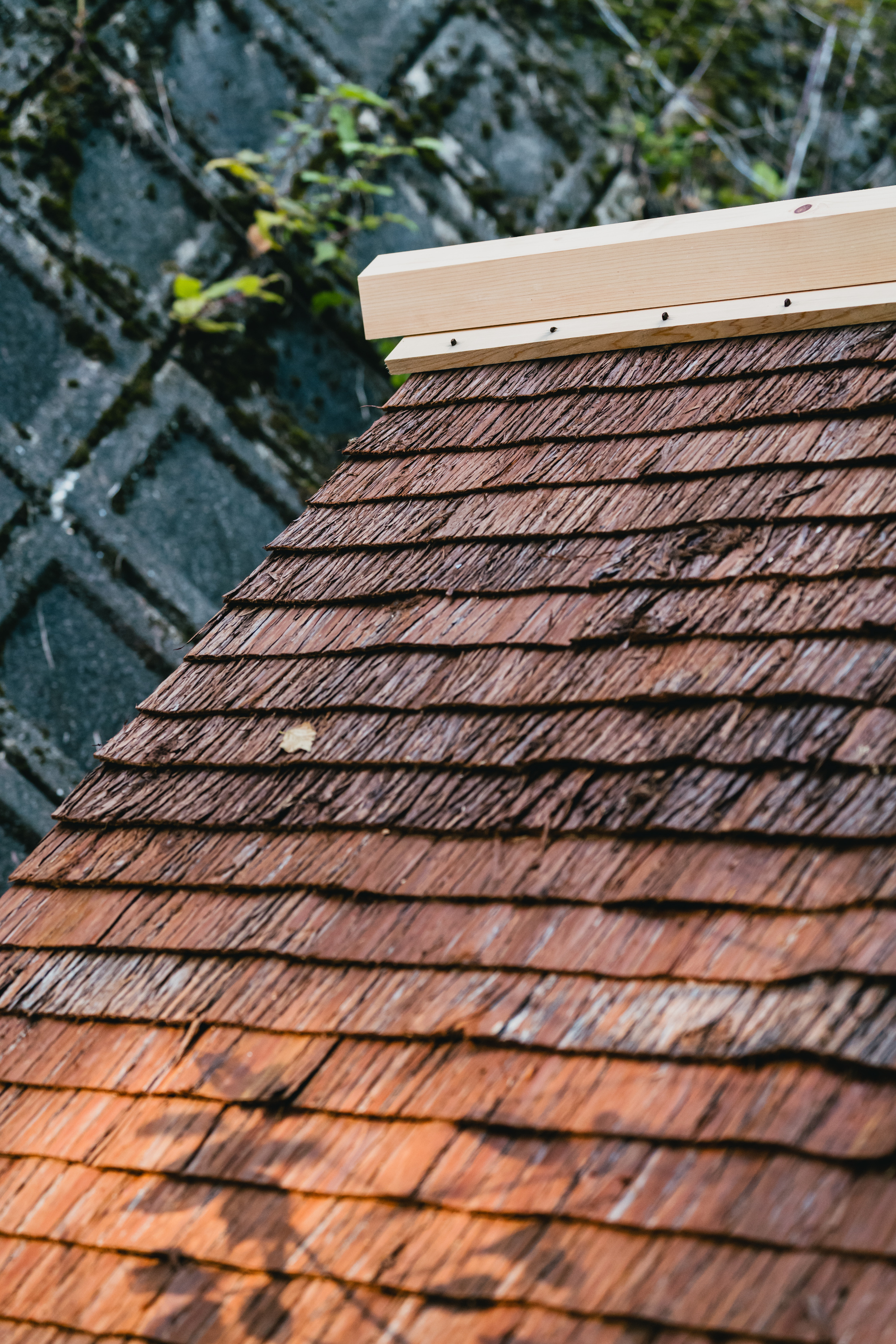 にわとり小屋养鸡场丨日本京都丨2M26-27