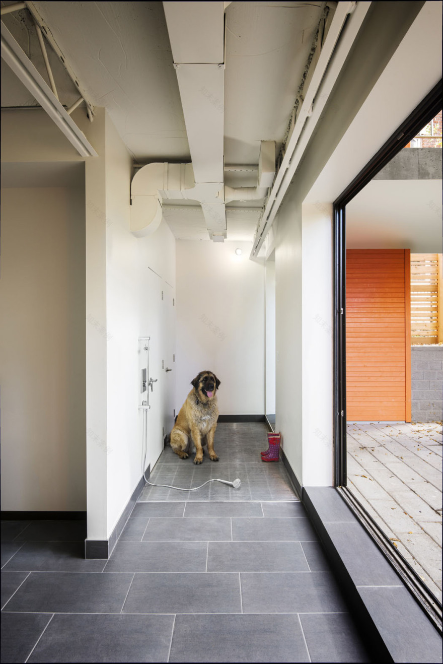 适应严苛城市条件的独栋住宅丨加拿大渥太华-38