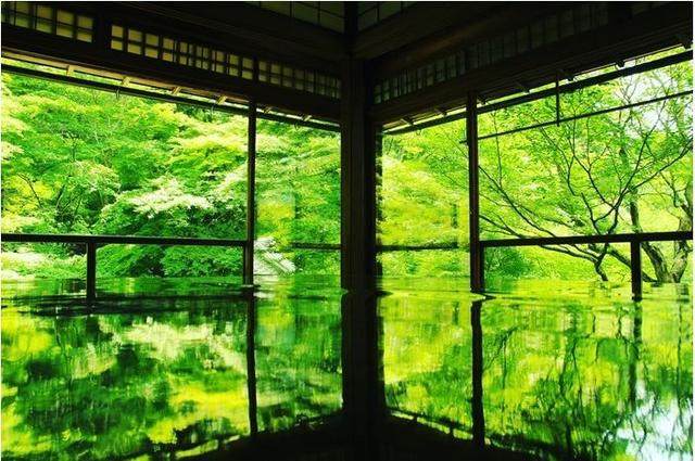 日本最美20个庭院，你更中意哪一个？-196
