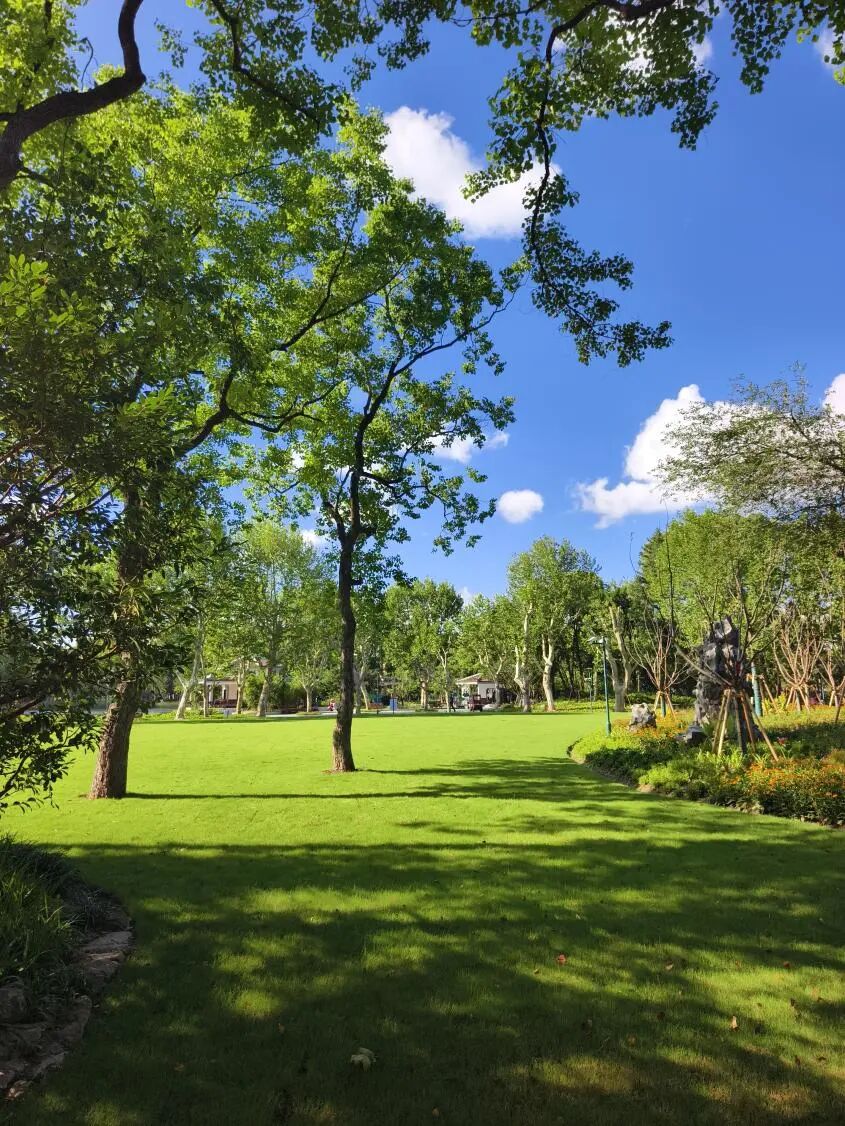 中国园林·理事专栏|“拓”之力量：杨浦公园改造纪实(三)-176