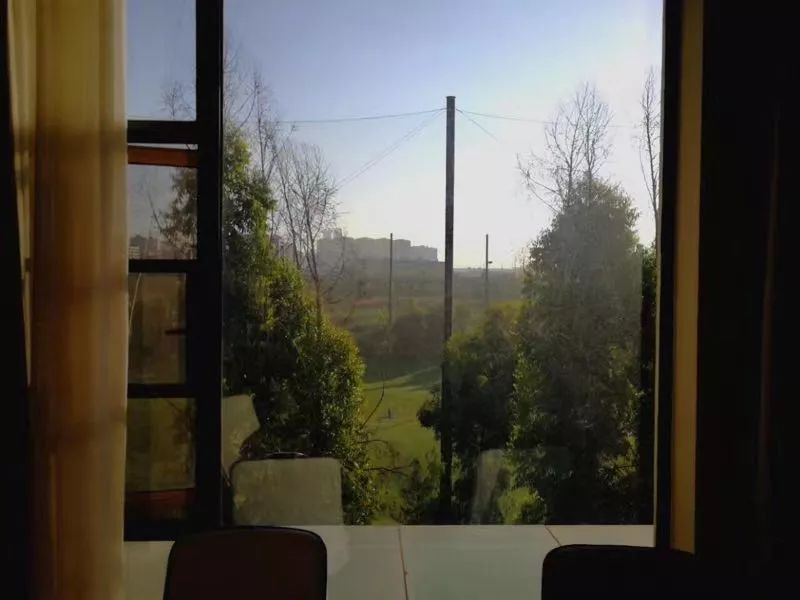 园艺生活，城市小菜园的诗意设计-68