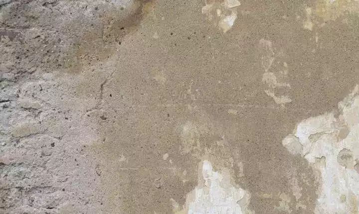 四季花开不间断的阳台打造指南-53