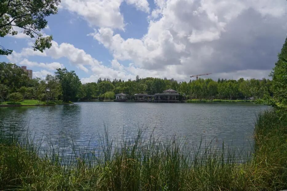 中国园林·理事专栏|“拓”之力量：杨浦公园改造纪实(三)-116