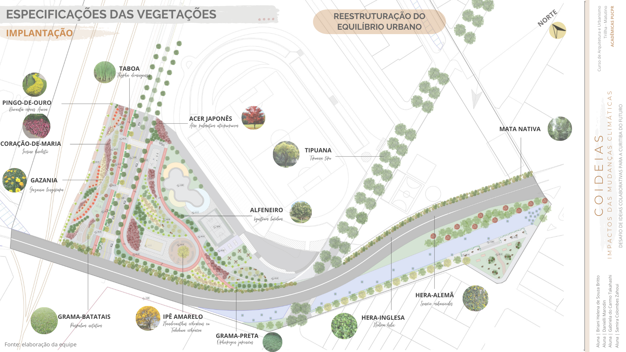 COIDEIAS - Metamorfose Resiliente-19