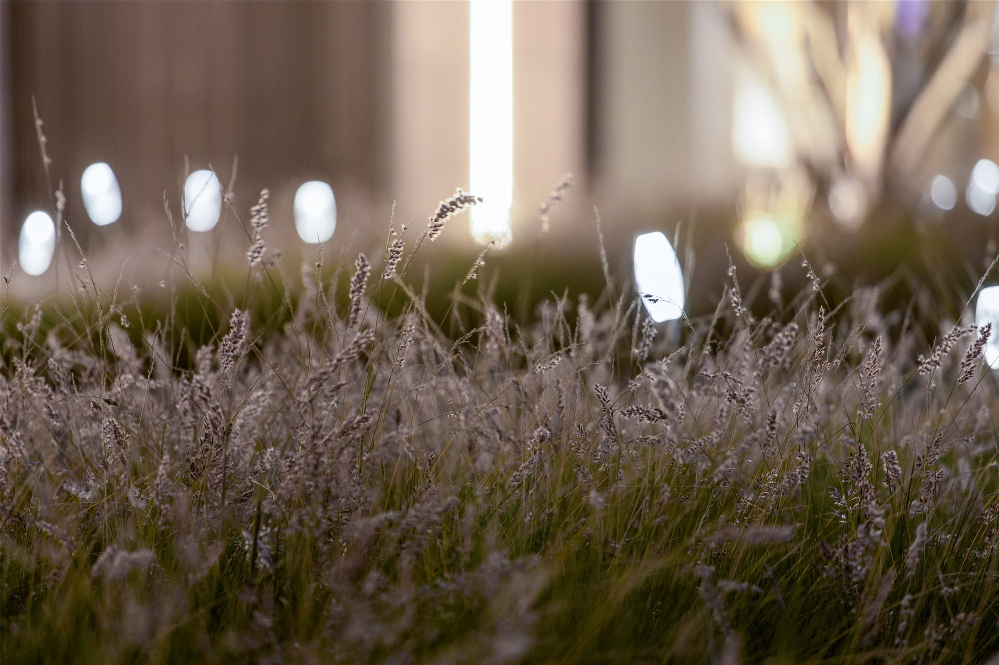 龙湖上城展示区-64