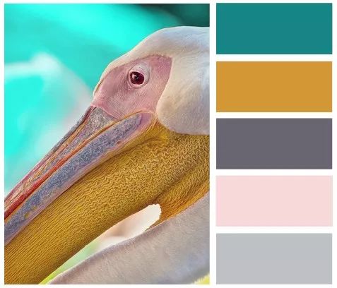 轻奢医学空间 | 某医院设计案例解析-10