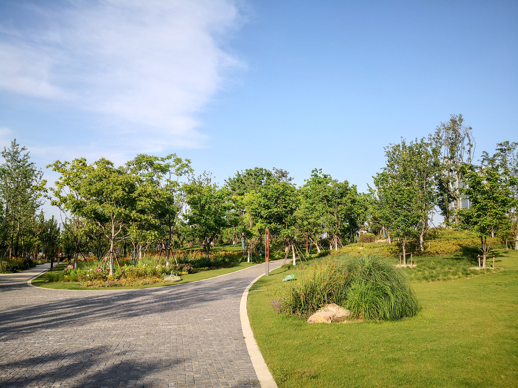 新加坡·南京生态科技岛-55