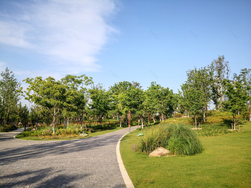 新加坡·南京生态科技岛-55