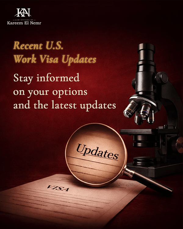 Immigration Law Branding & Content Design-3