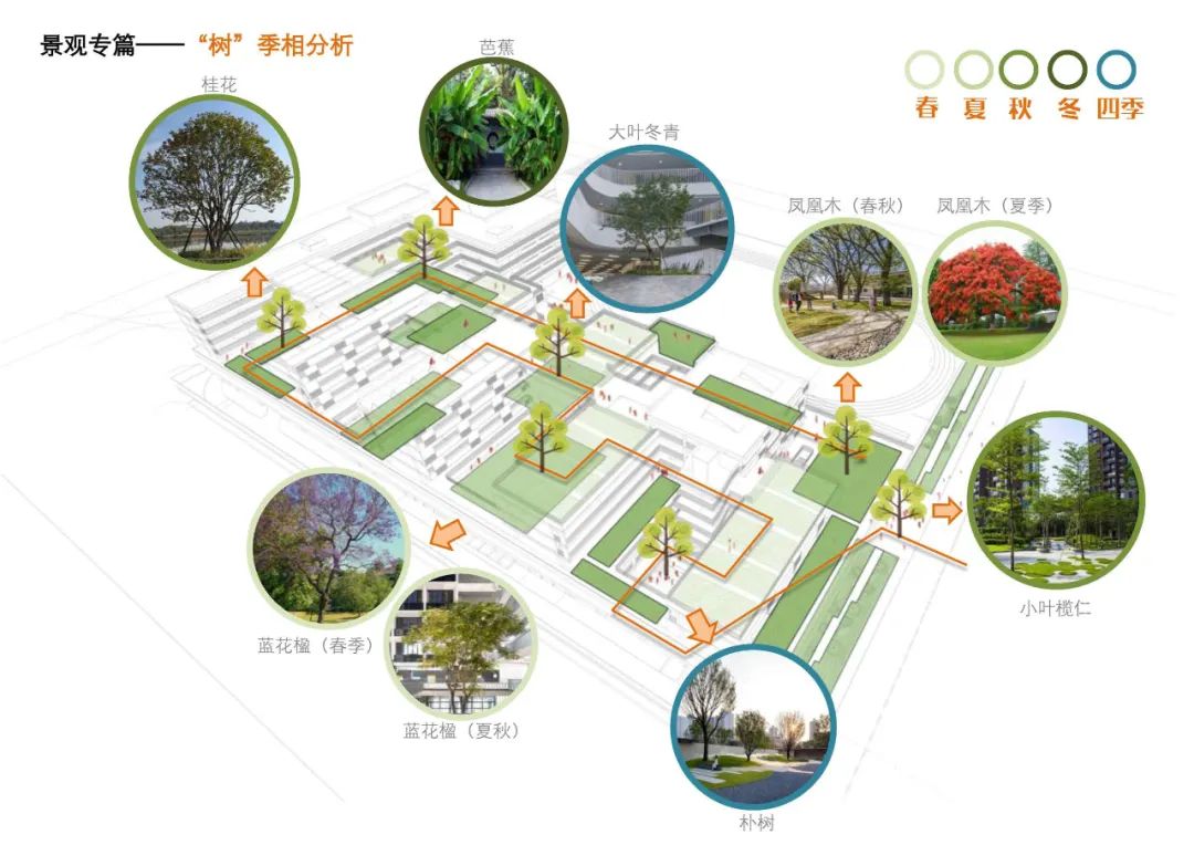 桂园中学改扩建丨中国深圳丨CCDI东西影工作室-49