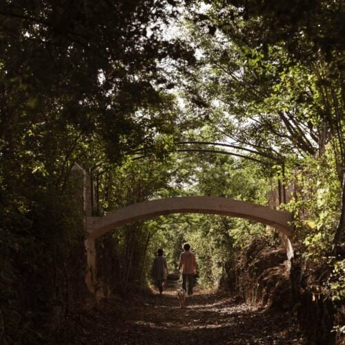 Galopina Wild House / TACO Taller De Arquitectura Contextual-18