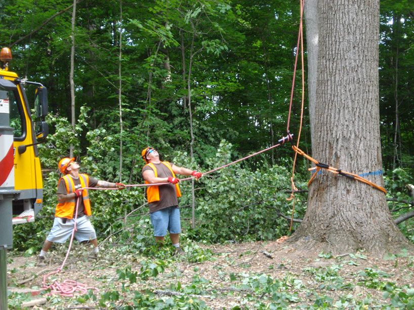 金丝楠木打造的艺术空间·Chop Stick 公园公共休息室-13