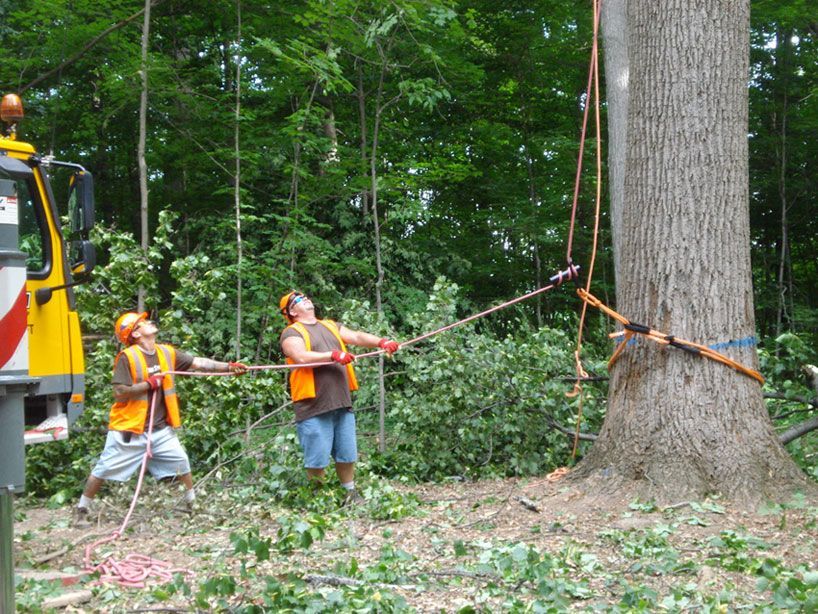 金丝楠木打造的艺术空间·Chop Stick 公园公共休息室-13