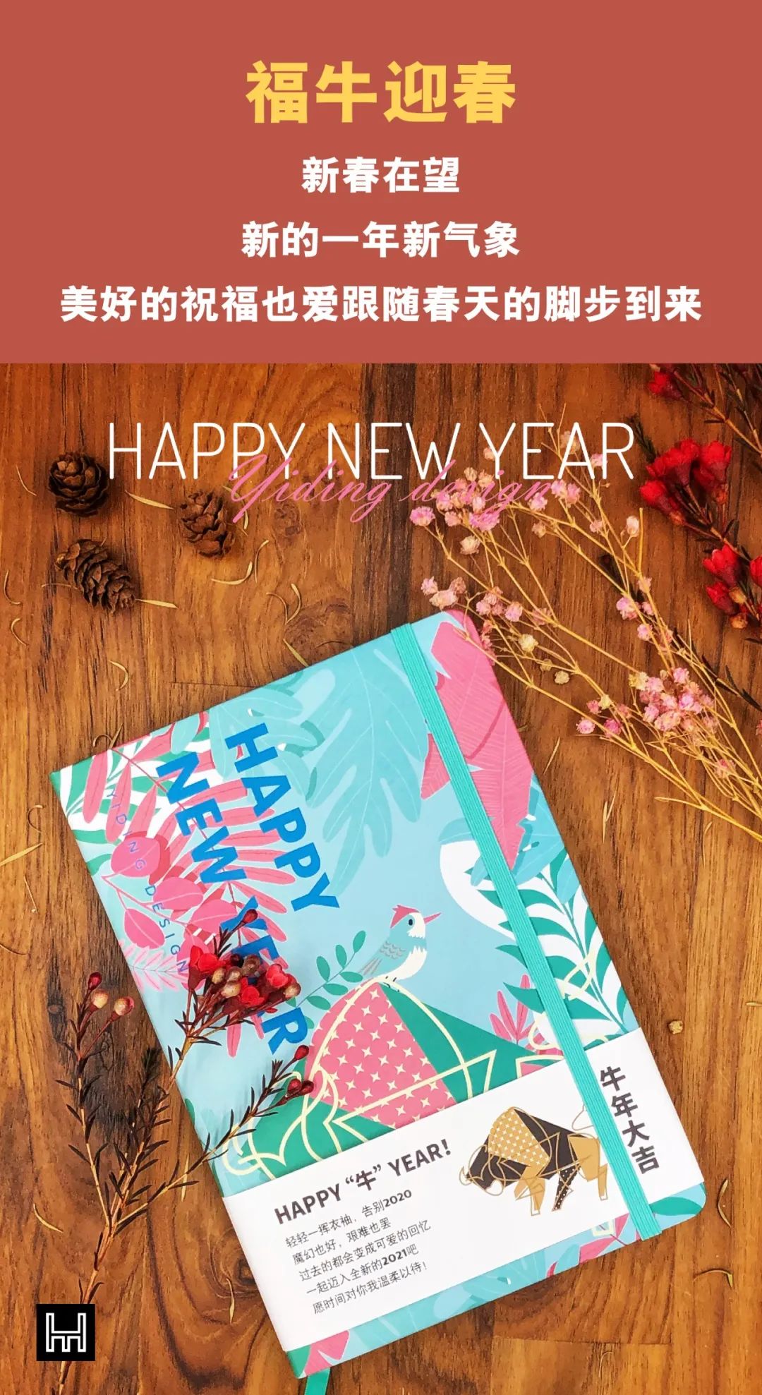 迎接 2021,艺鼎设计带您领略品牌案例风采-9