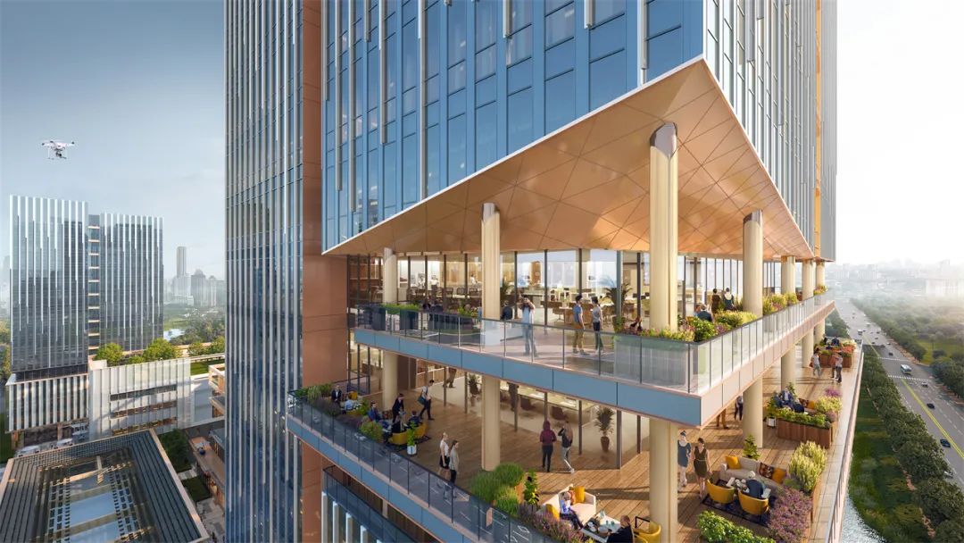 张江种谷丨孙桥国家农业科创中心项目-50