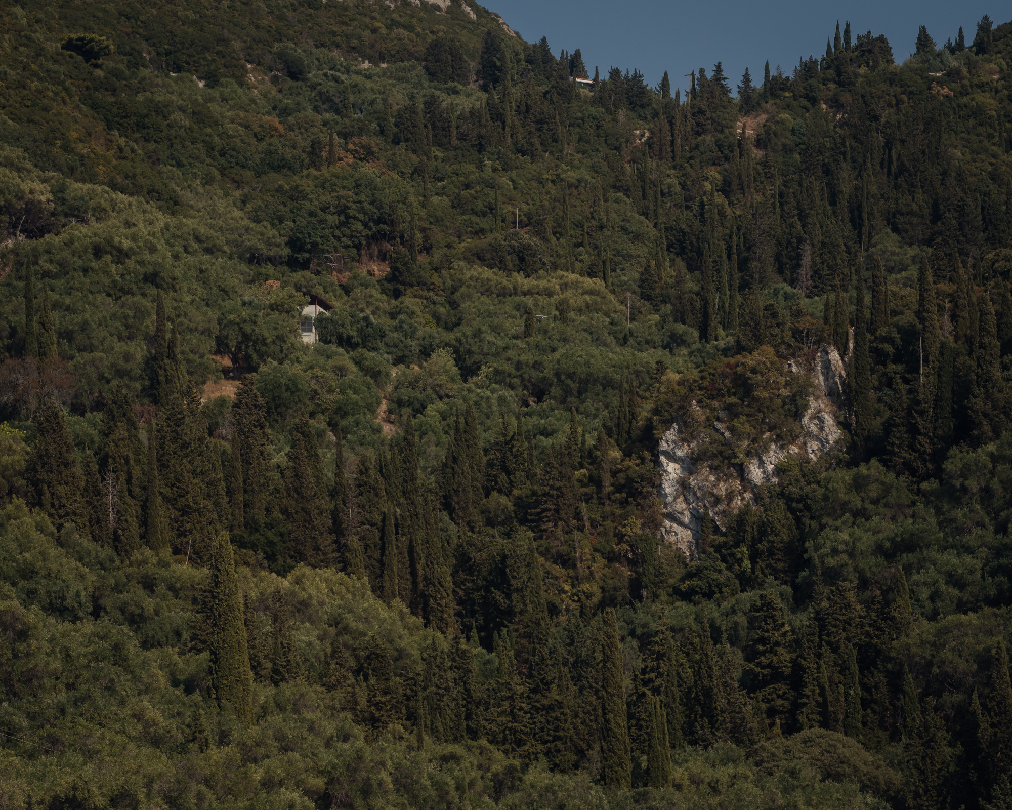 橄榄林中的房子丨希腊丨Invisible Studio-43