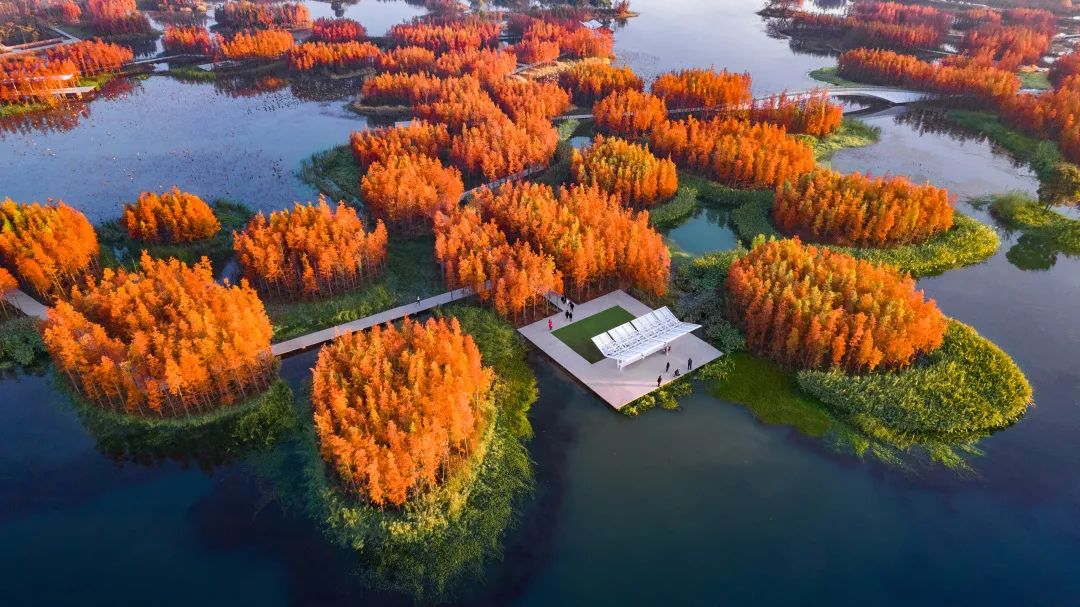 南昌市鱼尾洲湿地公园丨中国南昌丨北京土人城市规划设计股份有限公司-2