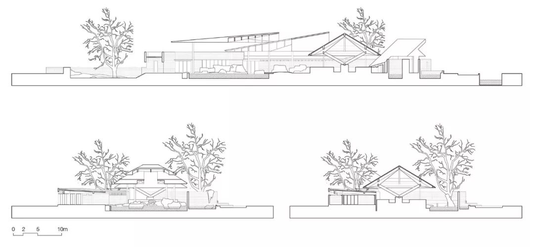春园 | 葛明探索园林新方法的实践-255