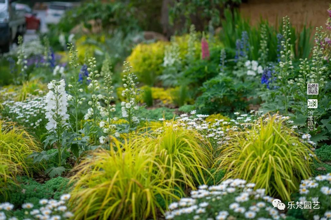 丹棱春色 · 古韵新颜,漫山幸福花开丨中国眉山丨乐梵-14