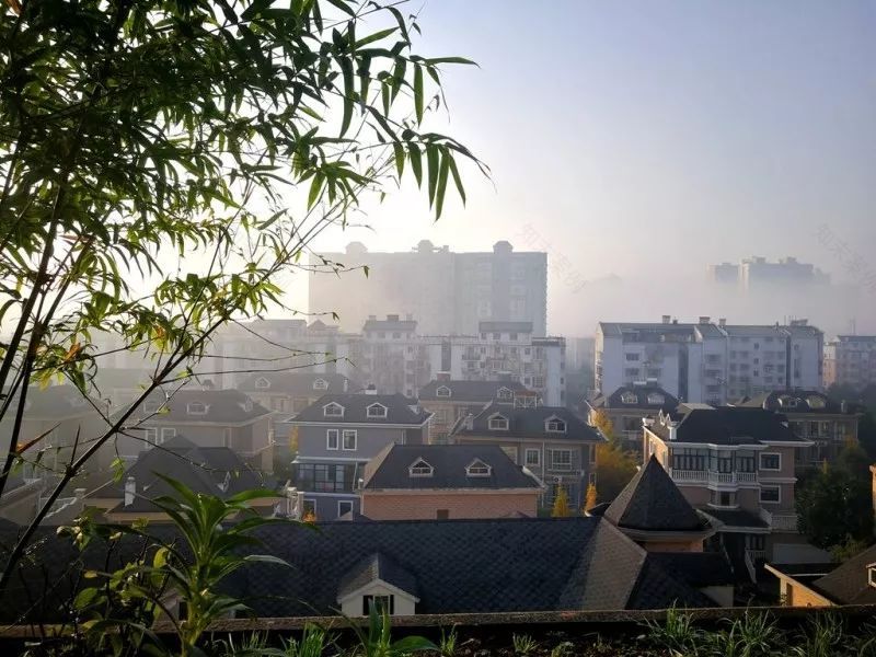 不惑之年,他自己动手建了一座楼顶花园,养花种菜喂鱼……-24