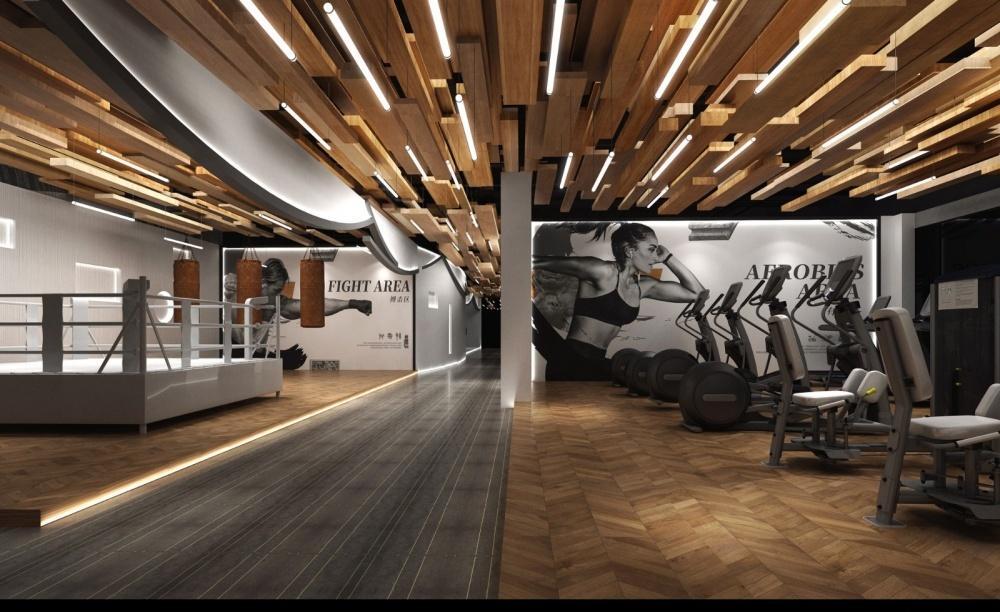 
中式徽派健身美学艺术典范 -2