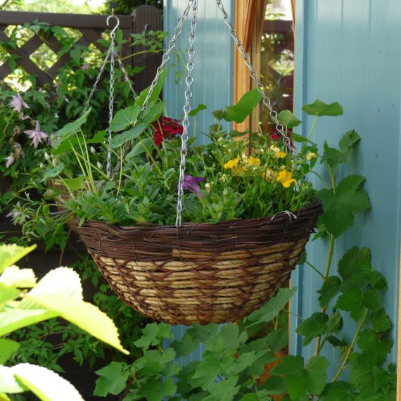 凯特·阿特金森的花园丨英国爱丁堡丨Carolyn Grohmann-24