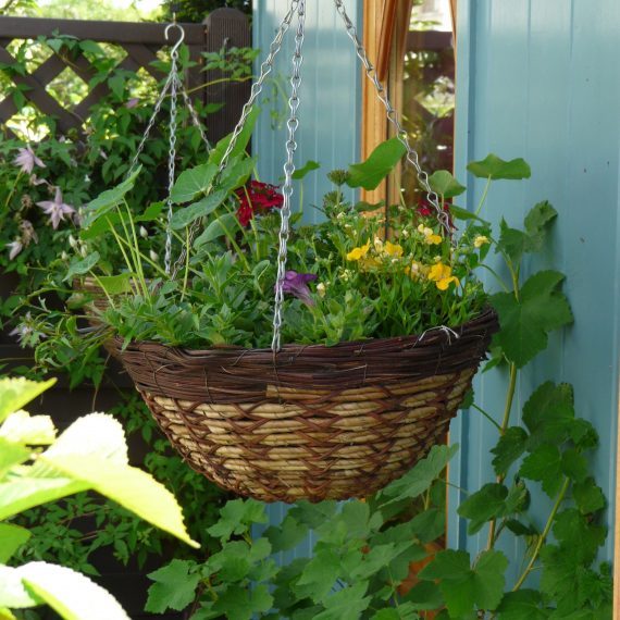 凯特·阿特金森的花园丨英国爱丁堡丨Carolyn Grohmann-24