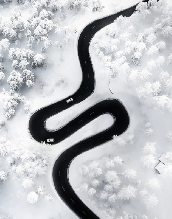 布鲁盟新作｜绿景白石洲城市更新馆：循梦而栖，人文绿洲-50