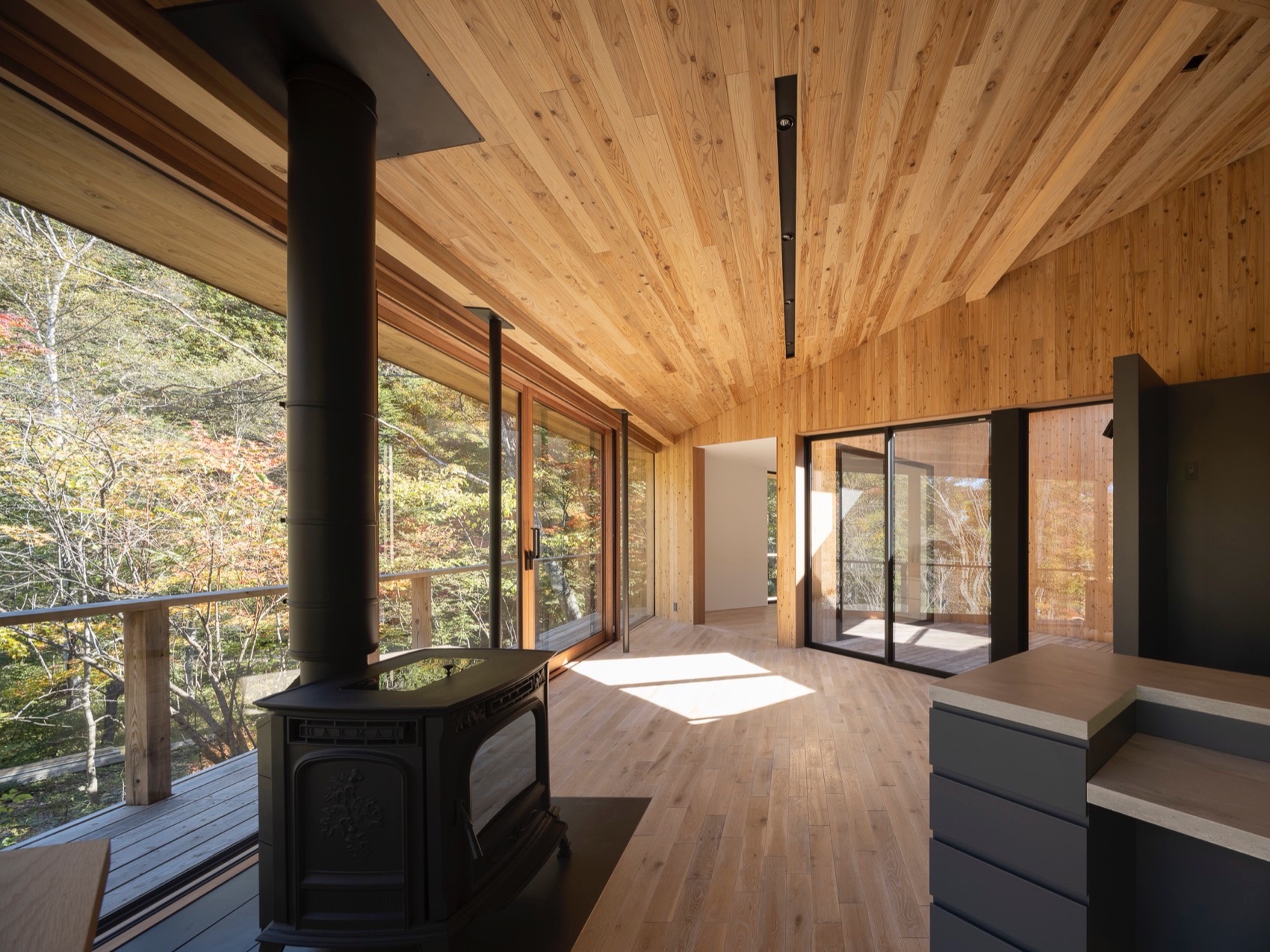 轻井泽山居丨日本长野丨Naoi Architecture-20