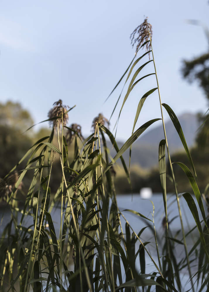 瓦利斯三年展

注：Triennale常见指三年展，Valis不太明确其具体含义，如果它是特定人名、地名、品牌名等，需结合具体背景确定更合适的译法，这里暂按字面音译处理 丨瑞士-27