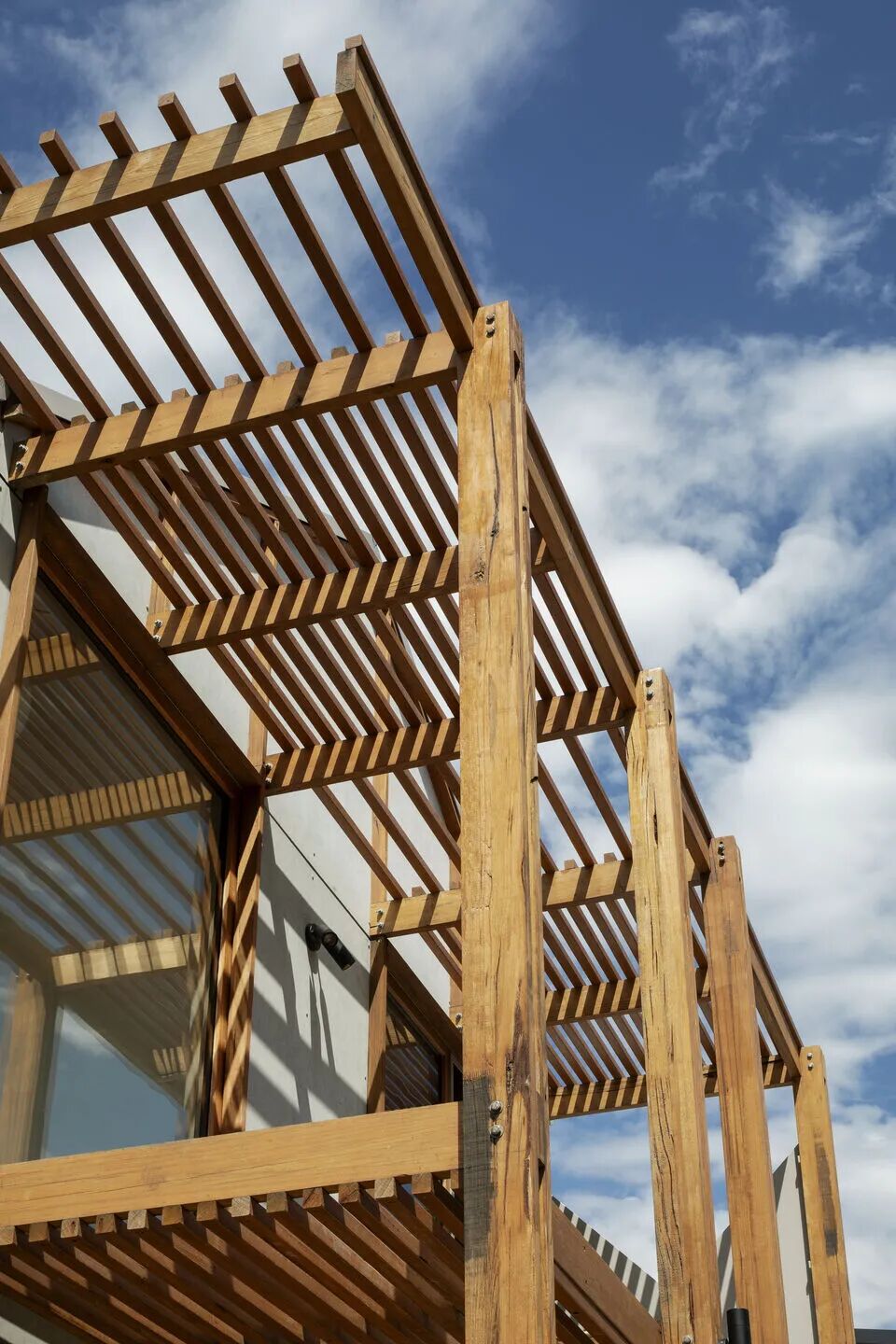 Life Cycle（生生不息,家与自然共生）-35