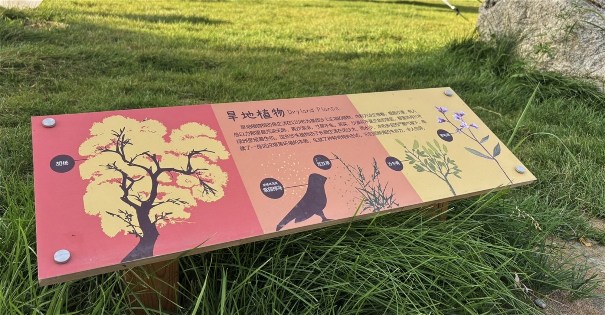 宁夏银川兰多多亲自然乐园丨中国银川丨阿普贝思UP+S-117