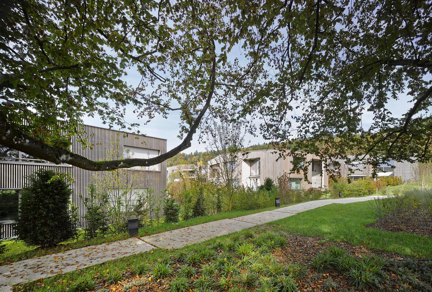 瑞士 Rietacher 绿色生态住宅 | 融入自然的开放式设计-11