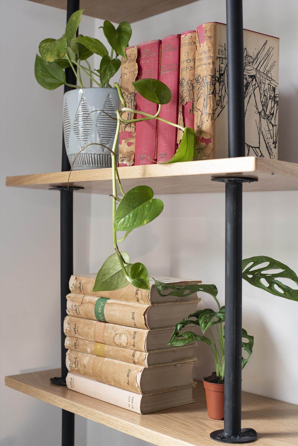 במקום לעבור, לשפץ: 200 מר' של כפריות עכשווית - WALLS : WALLS-17