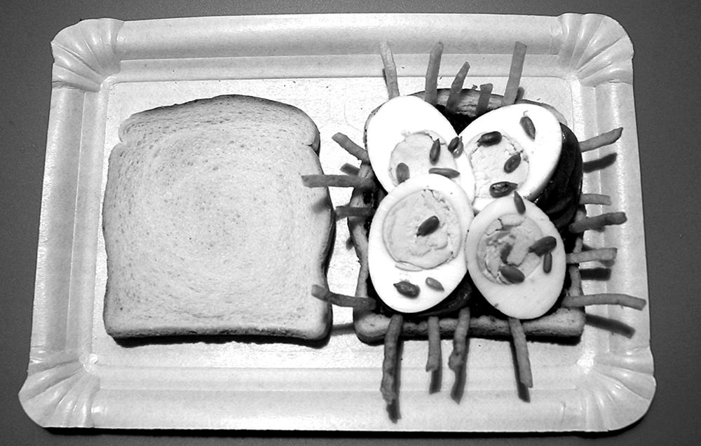 丨西班牙巴塞罗那丨emiliana design studio-15