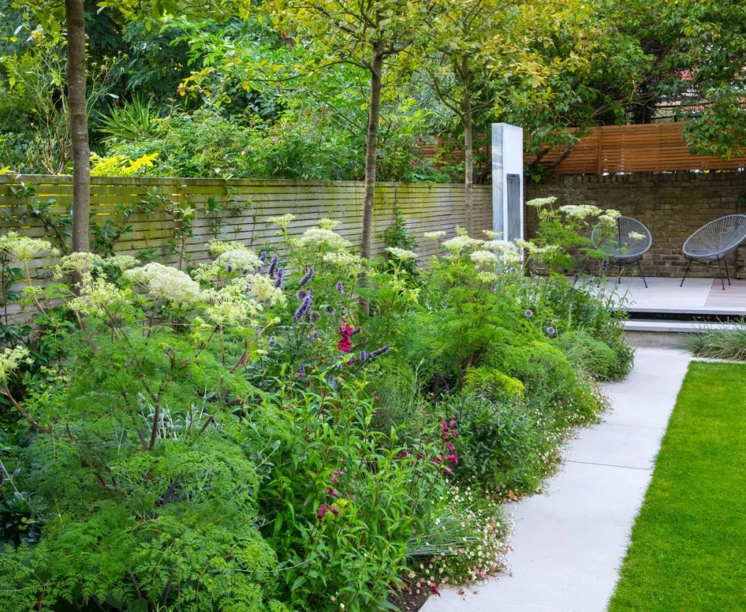 春日几何花园 | 伦敦伊斯灵顿城市后院的色彩与功能共生-19