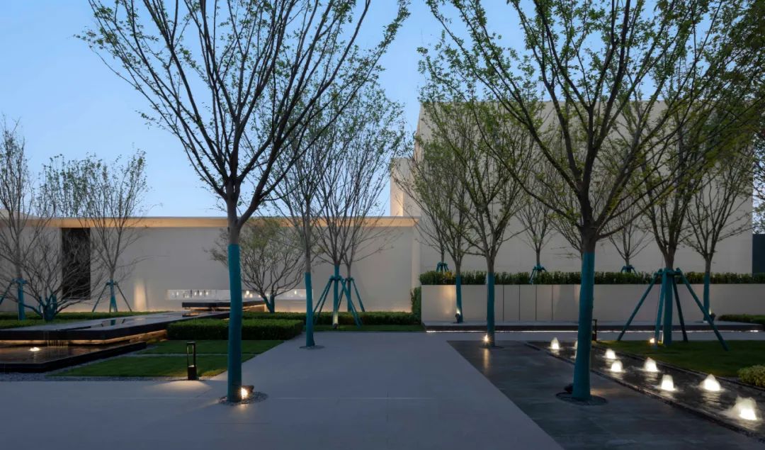 山东济宁金科集美澜湾 | 克制的序列,林泉入境-50